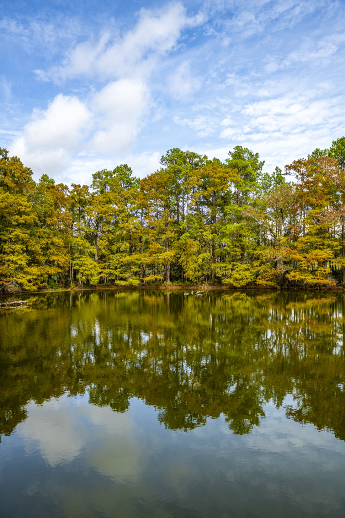 Scenic Lake Views