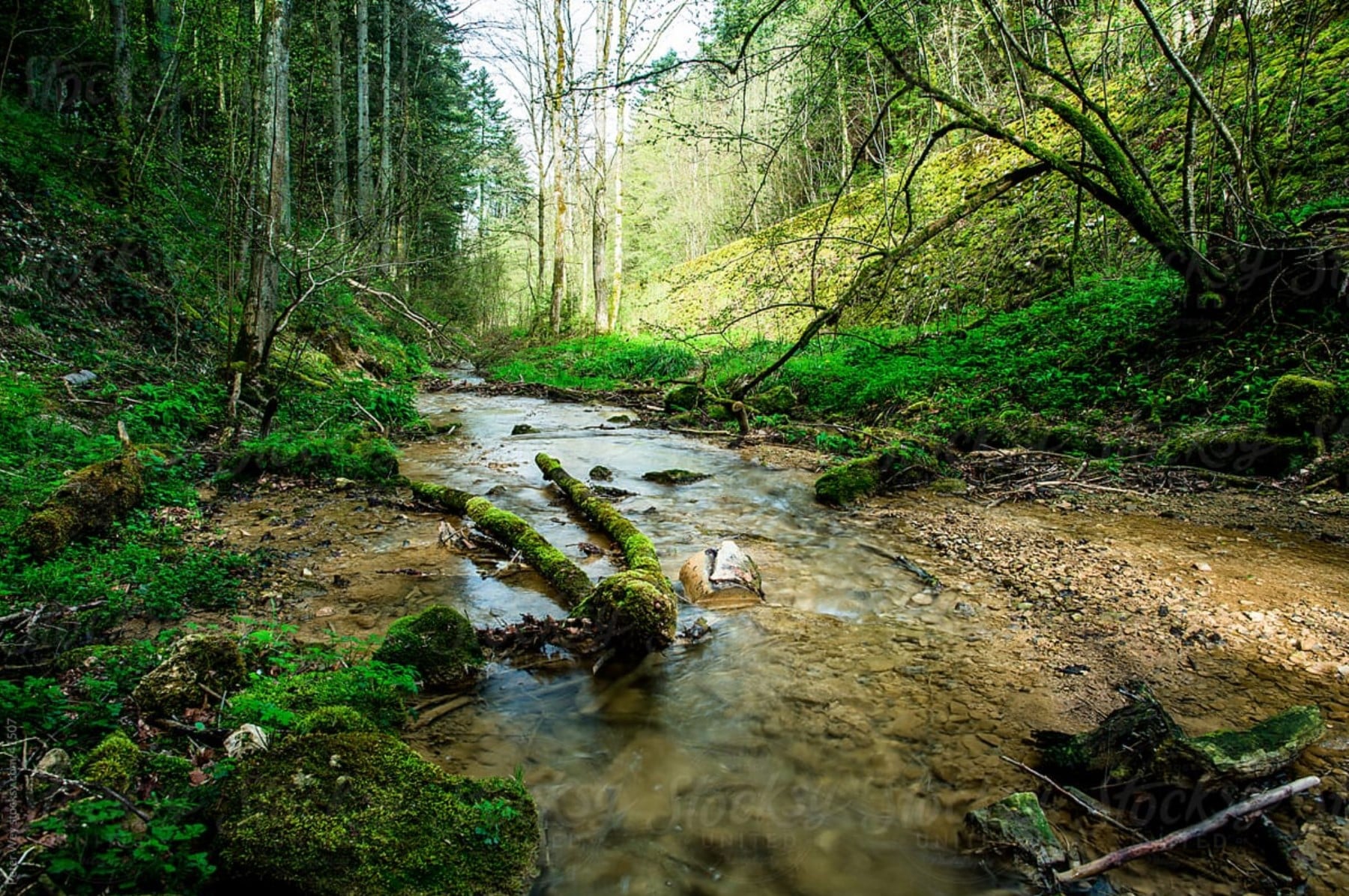 5 Things To Do In Montgomery County TX The Highlands