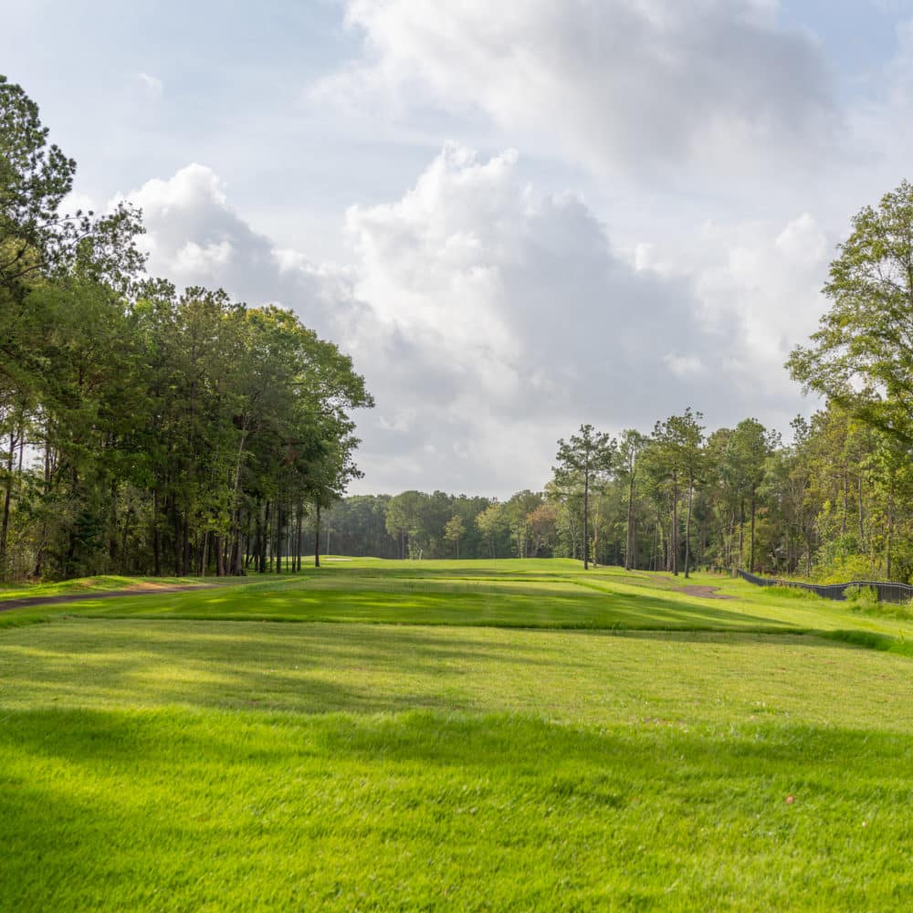 Golf Course The Highlands