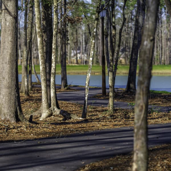 Paved Trails around Mirror Lake
