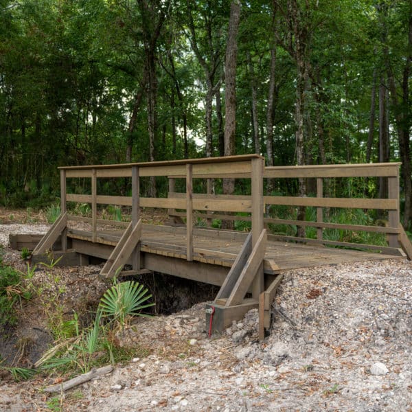 Trail heading into The Preserve