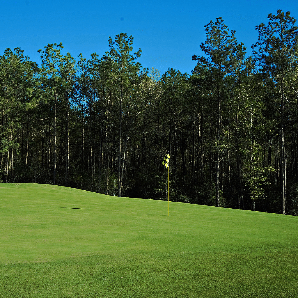 Hole 5 Description