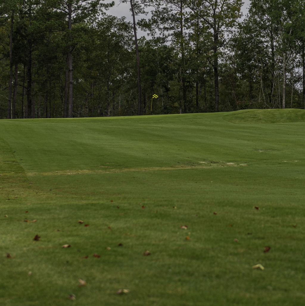 Hole 14 Description