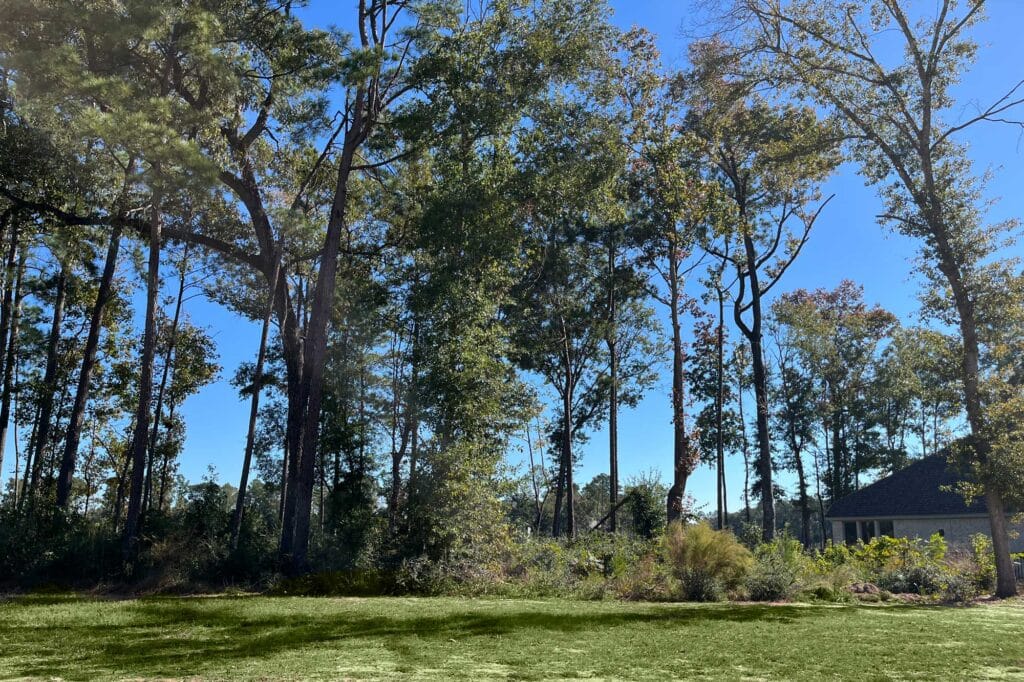 Give Yourself the Gift of a Premium Homesite at The Highlands 5 22005 Canyon Trail Way Horizontal