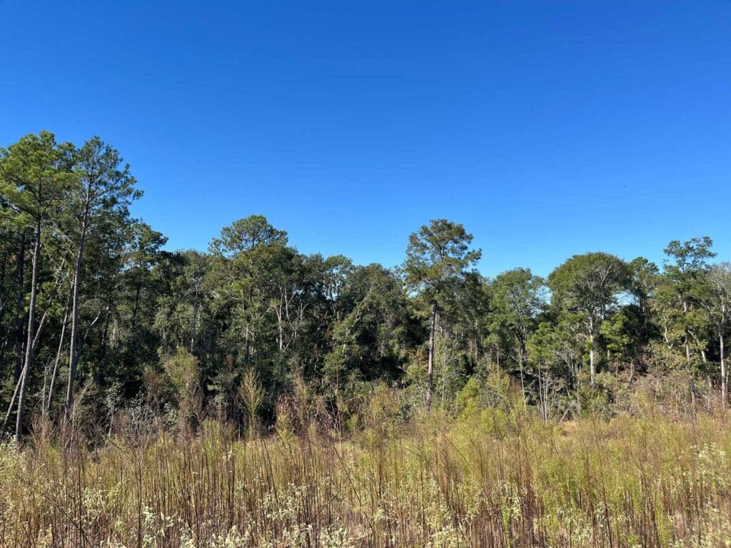 Give Yourself the Gift of a Premium Homesite at The Highlands 9 22288 Eco Pond Lane back of homesite Horizontal