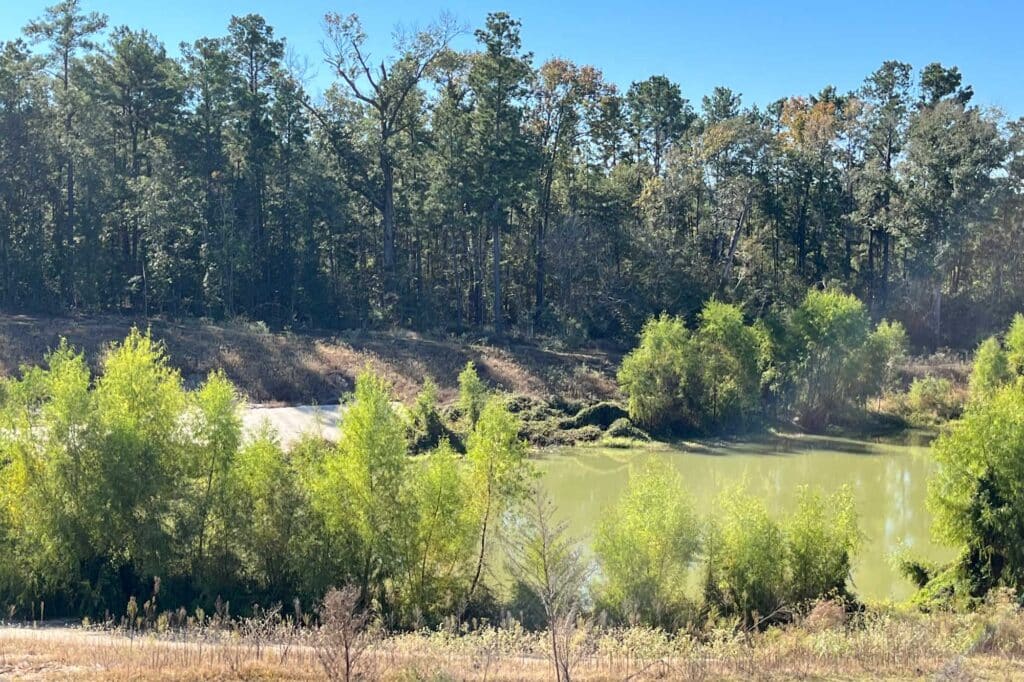 Give Yourself the Gift of a Premium Homesite at The Highlands 7 SML 7190 Coastal Prairie Dr back of homesite Horizontal